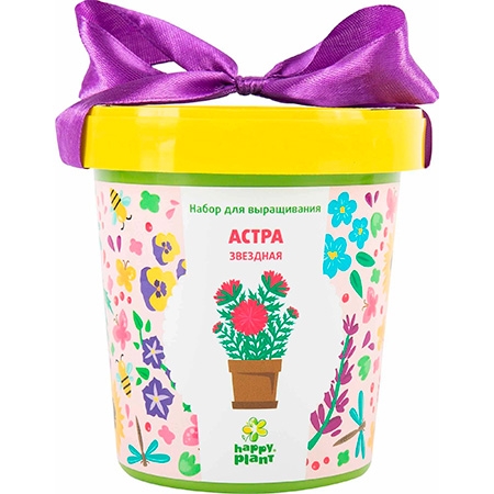 Новогодний подарок Набор для выращивания Астра